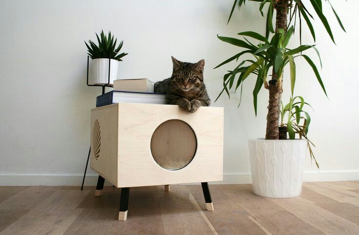 5 Ide Rumah Kucing Lucu dan Cantik untuk Si Kesayangan