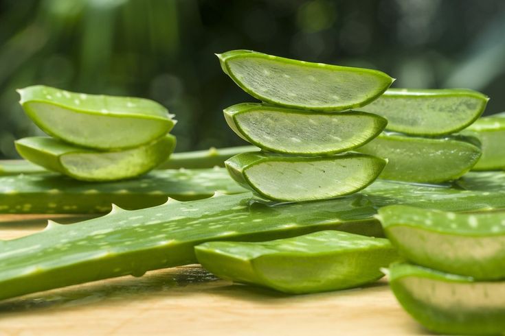 5 Manfaat Lidah Buaya untuk Berbagai Kebutuhan