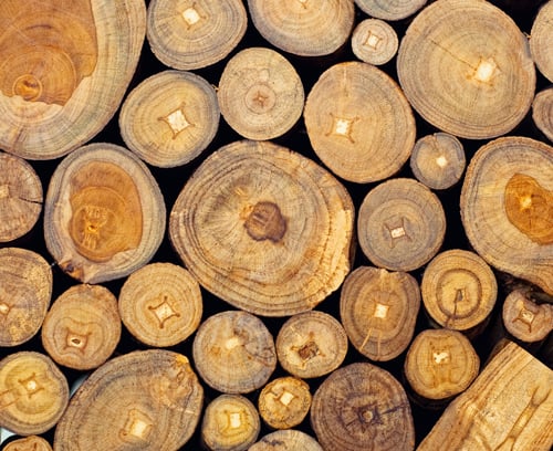 6 Essential Types of Wood for Furniture and Their Incredible Benefits