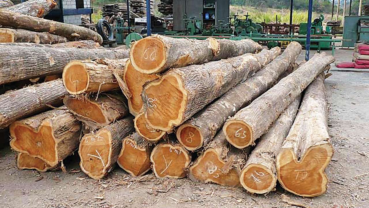 The Difference Between Plantation Teak and Natural Teak Wood Furniture